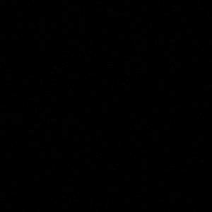 Meet your Posher, Ellis